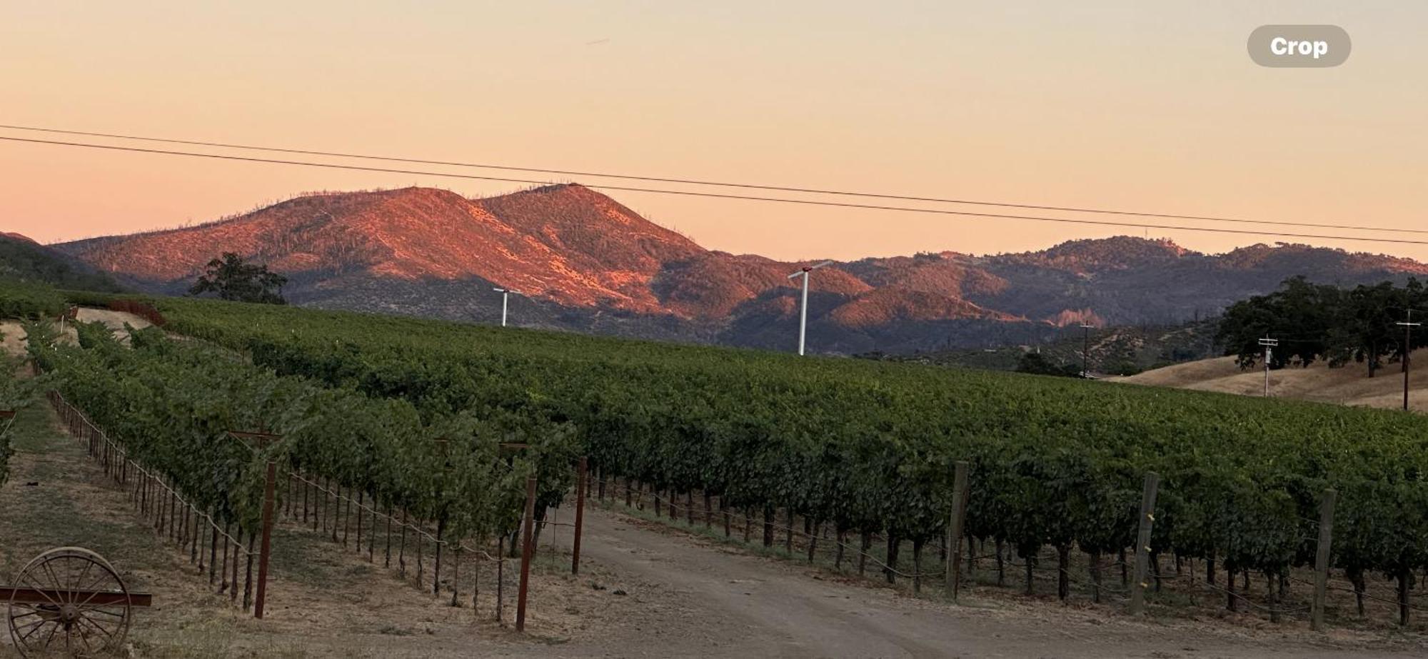 לינה וארוחת בוקר סנט הלנה Rustridge Ranch & Winery מראה חיצוני תמונה