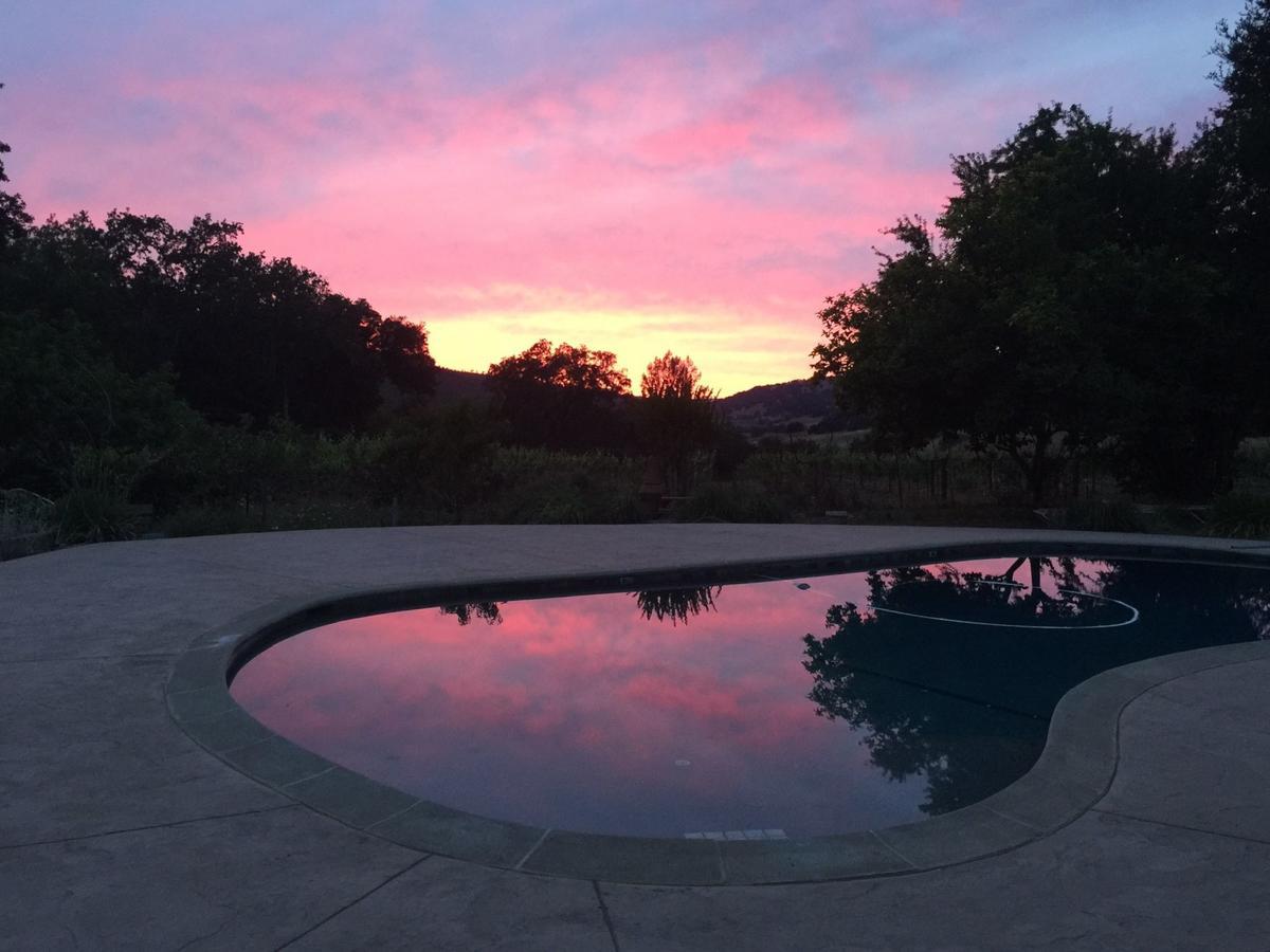 לינה וארוחת בוקר סנט הלנה Rustridge Ranch & Winery מראה חיצוני תמונה