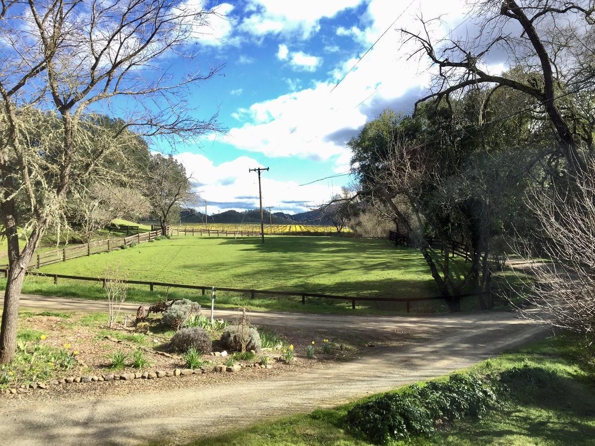 לינה וארוחת בוקר סנט הלנה Rustridge Ranch & Winery מראה חיצוני תמונה