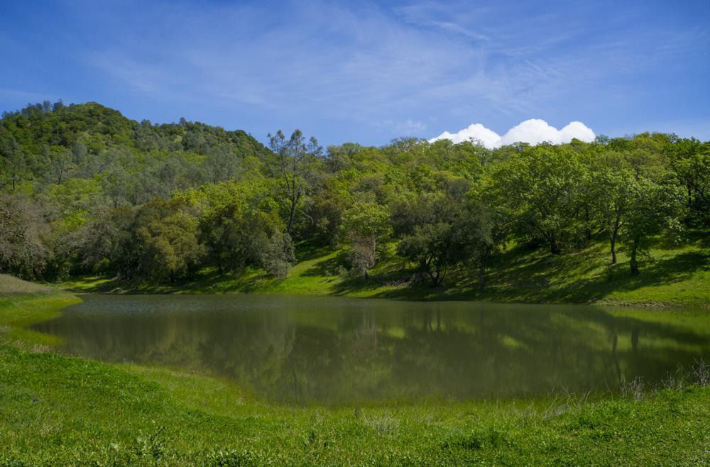 לינה וארוחת בוקר סנט הלנה Rustridge Ranch & Winery מראה חיצוני תמונה