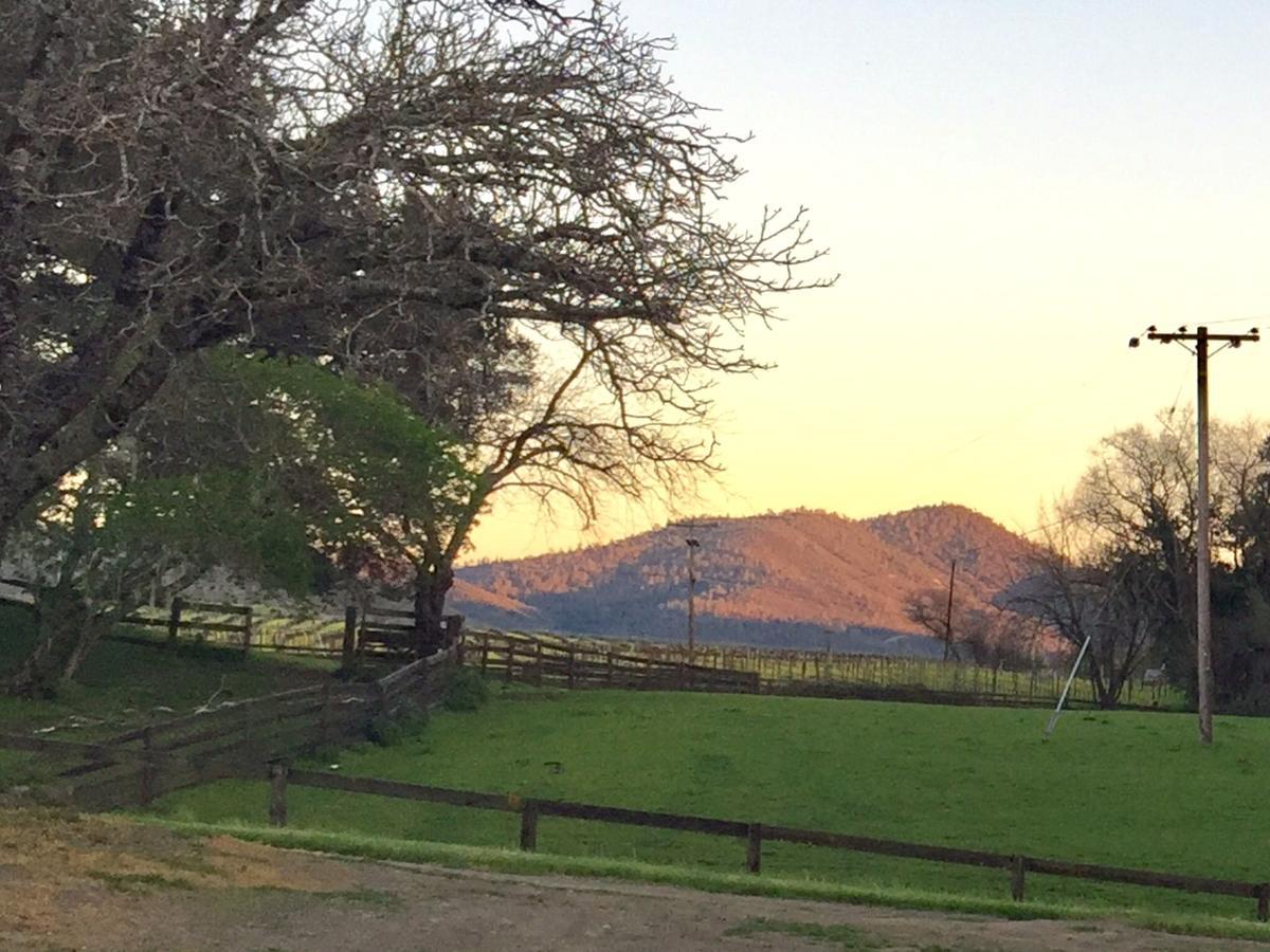 לינה וארוחת בוקר סנט הלנה Rustridge Ranch & Winery מראה חיצוני תמונה