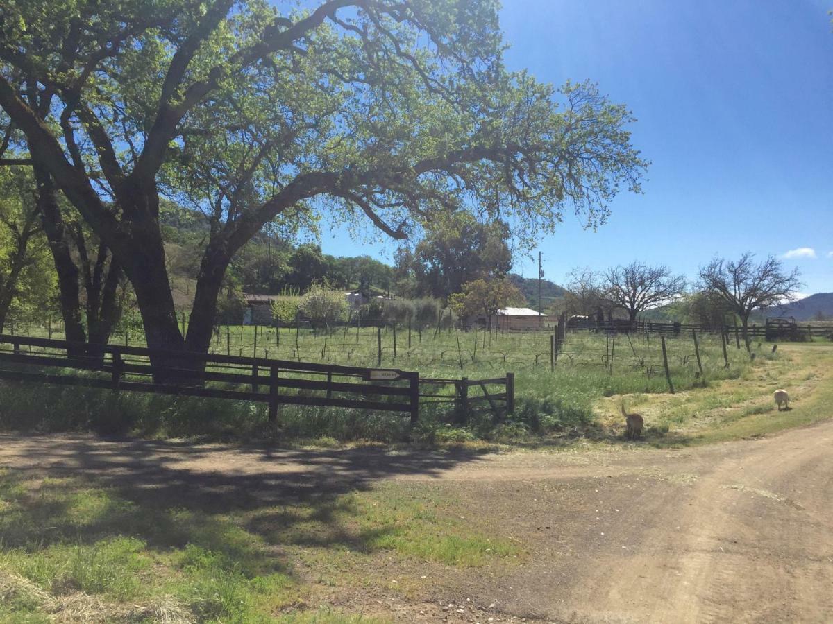 לינה וארוחת בוקר סנט הלנה Rustridge Ranch & Winery מראה חיצוני תמונה