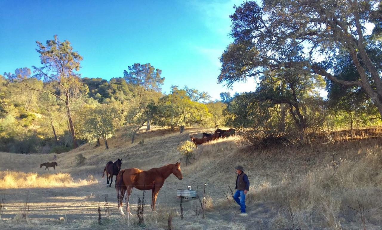 לינה וארוחת בוקר סנט הלנה Rustridge Ranch & Winery מראה חיצוני תמונה