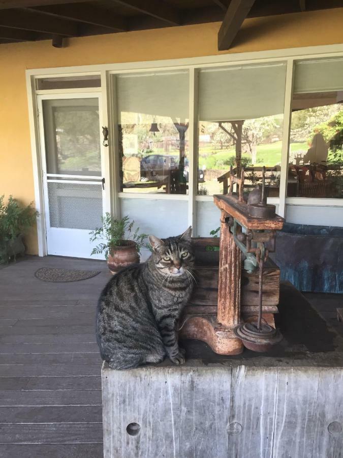 לינה וארוחת בוקר סנט הלנה Rustridge Ranch & Winery מראה חיצוני תמונה