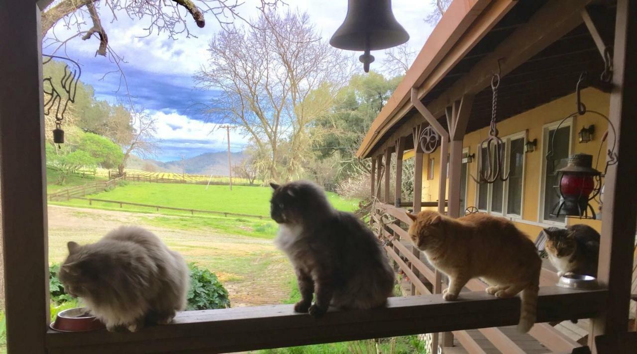לינה וארוחת בוקר סנט הלנה Rustridge Ranch & Winery מראה חיצוני תמונה