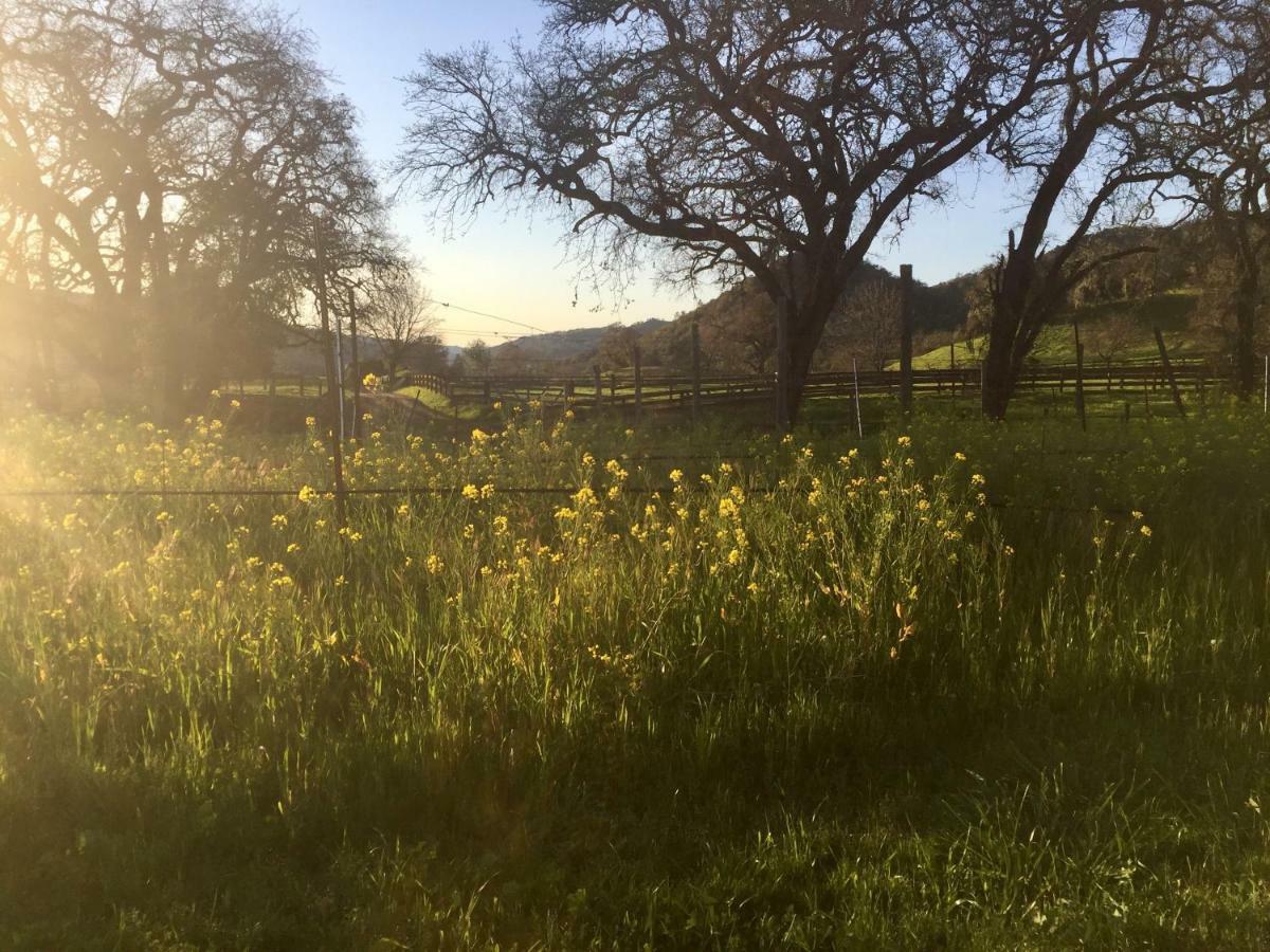 לינה וארוחת בוקר סנט הלנה Rustridge Ranch & Winery מראה חיצוני תמונה