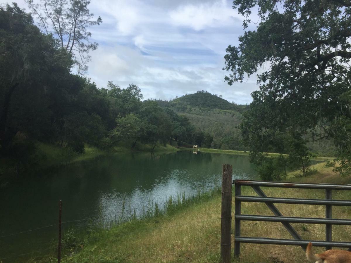 לינה וארוחת בוקר סנט הלנה Rustridge Ranch & Winery מראה חיצוני תמונה