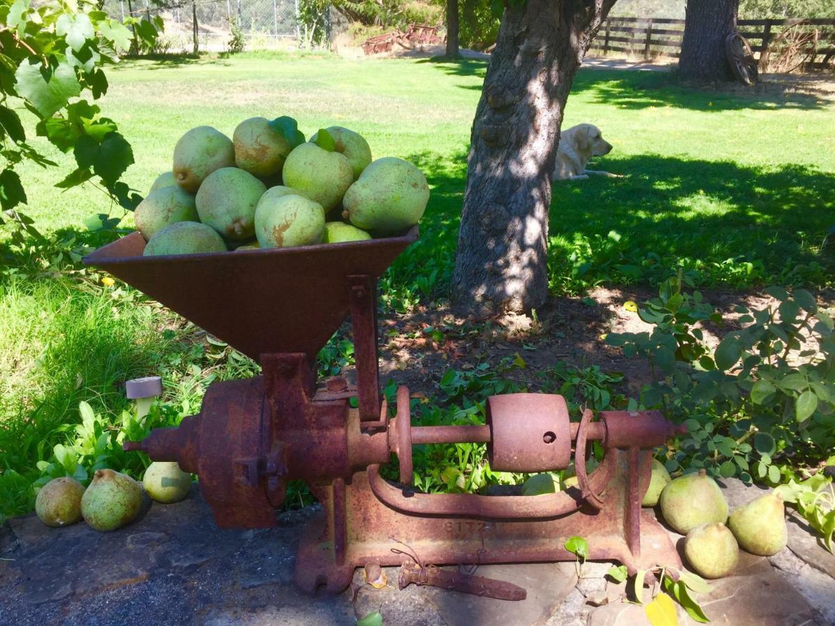 לינה וארוחת בוקר סנט הלנה Rustridge Ranch & Winery מראה חיצוני תמונה